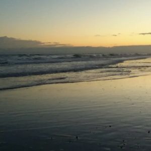 Meet your Posher, Carol